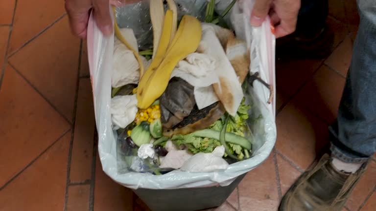 Same-Day Junk Removal Services in Kapaa, HI